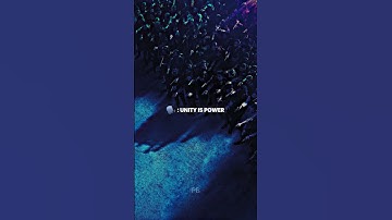 Unity is power, but... 🦁🫡 #entrepreneur #wifimoney #success #mindset #motivation #shorts