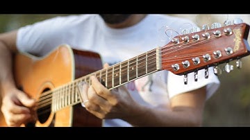 Swamp Dog Blues 12 String slide acoustic cover