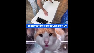 I Didn’t Know You Could Do That With MinerBoxes! 😲