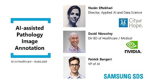 The Use of AI in Healthcare: AI-assisted Pathology Image Annotation