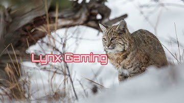 I RESET My Need For Speed Career