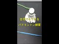 自宅でできるバドミントン練習 #Shorts