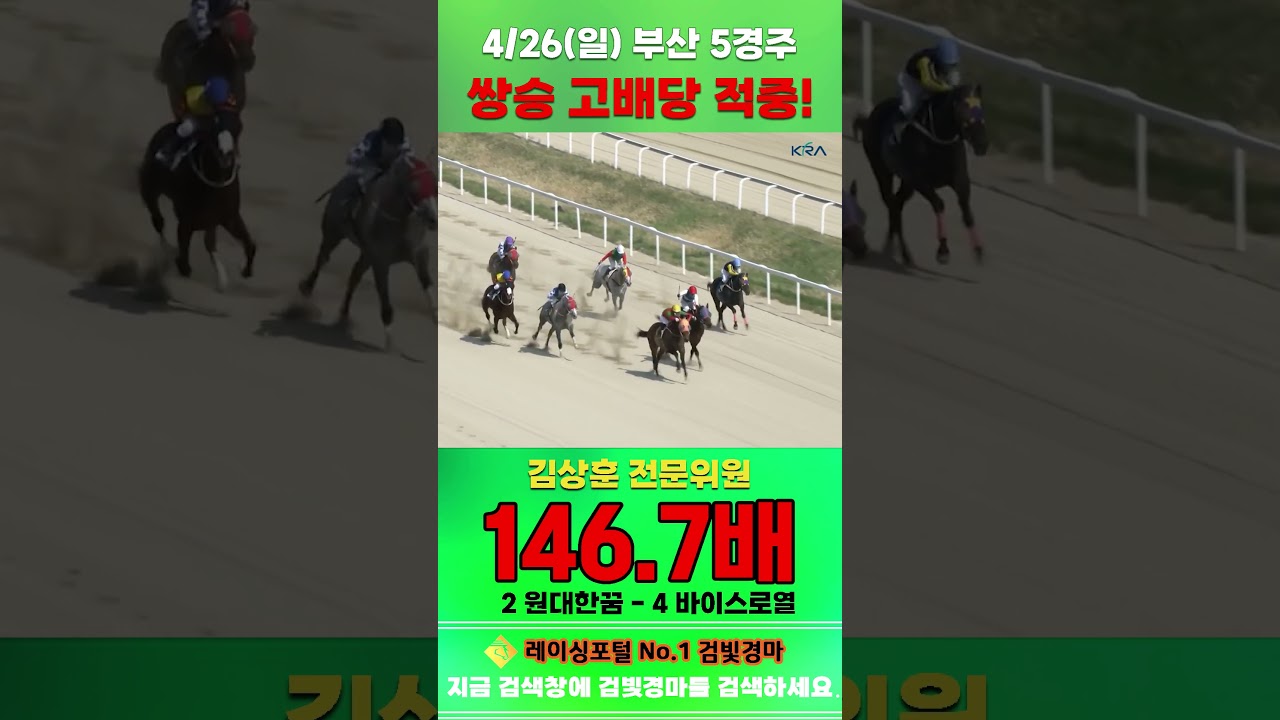 [부산 경마] 4월 26일 일요 5경주 김상훈 전문위원 쌍승 고배당 적중 #경마 #automobile #하이라이트 #horse #한국마사회 #https #게임 #뉴스 #비트코인