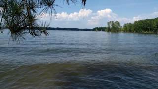 Waves In Dreher Island State Park