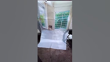 Vinyl Material Backdrops Backgrounds