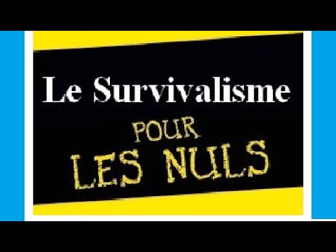 Vidéo: Comment Connaître Le Montant De La Pension De Survie