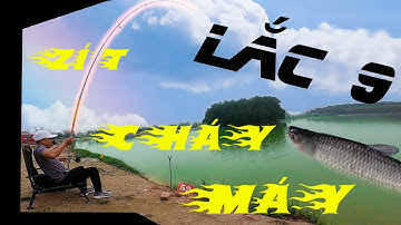 Trắm Đen Đè Phao Rít Máy Căng Đét Nghe Thôi Đã Sướng Rồi - Câu Lục I Én Bạc.