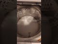 See this Washing Machine for Pet Owners In Action #Shorts