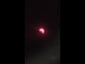 Solar Eclipse California LA USA 14 OCT 2023 Солнечное Затмение Калифорния ЛА США 14 Октября 2023