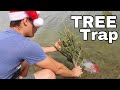 CHRISTMAS Tree FISH TRAP Catches COLORFUL FISH!!