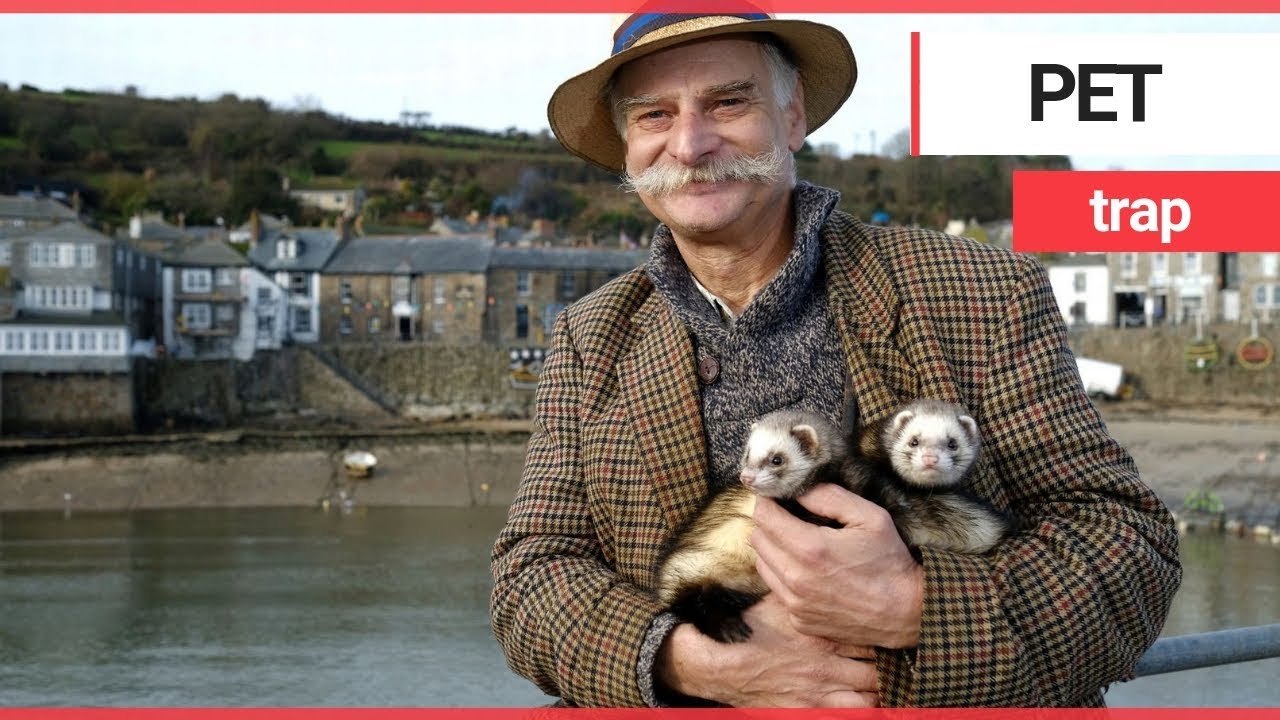 petco hours Man banned from pub for dining with pet ferrets | SWNS TV