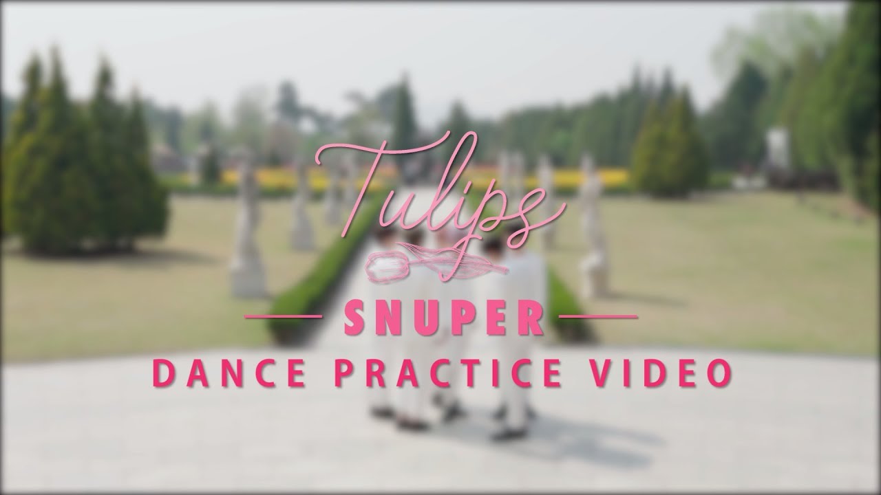 SNUPER(스누퍼) 'Tulips (튤립)' 안무 영상 (Garden ver.)