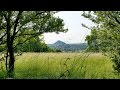 Wandern im Harz: Der Bergbaupfad Wettelrode, Mooskammer und die Burgruinen von Morungen