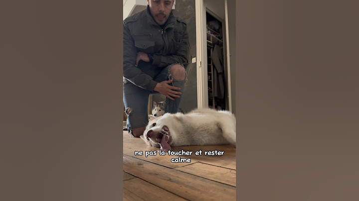 Comment je gère une crise d’épilepsie chez Tsuki 😔 partie 1 #chien #dog #husky #epilepsy #epilepsia