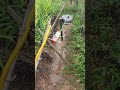 Bird repellent artifact that does not use electricity - hydraulic version