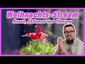 Winterstream mit neuen Produkten, Aktionen und Planungen