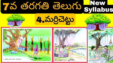 Marrichettu Lesson 7Th Class Telugu || 7th Class Marrichettu Lesson | 7th Class Lessons