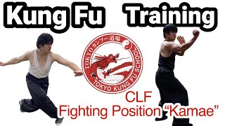 ブルース・リー、ジャッキーチェンが使ってた蔡李佛カンフーのかまえ Kung Fu fighting position of CLF used by Bruce Lee & Jackie Chan