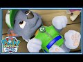 パウ・パトロール めいばめんしゅう　こいぬとあそぼう　その１ | パウ・パトロール公式
