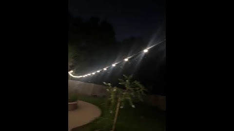 Yuncheng String Light Plant Tour | From Factory to Your Backyard ✨