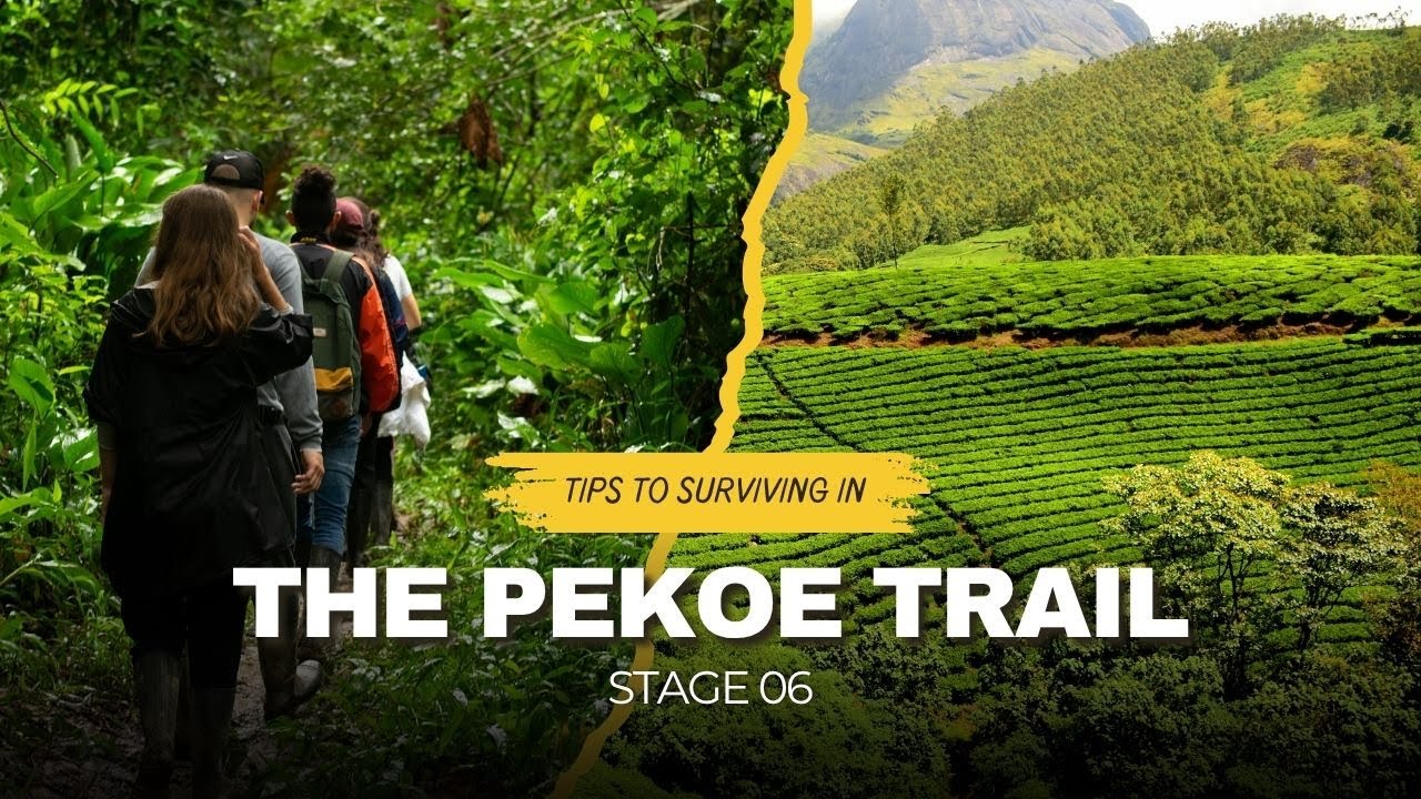 THE PEKOE TRAIL Stage 6 What No One Tells You About | A Complete Guide 🍃🇱🇰