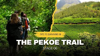 Datos THE PEKOE TRAIL Stage 6 What No One Tells You About | A Complete Guide 🍃🇱🇰 Actualización