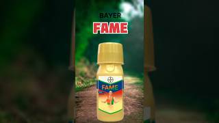 Bayer FAME Insecticide ? fame bayer short farming shorts