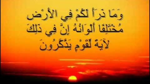 ما تيسر من سورة النحل قراءة رائعة للشيخ فارس عباد