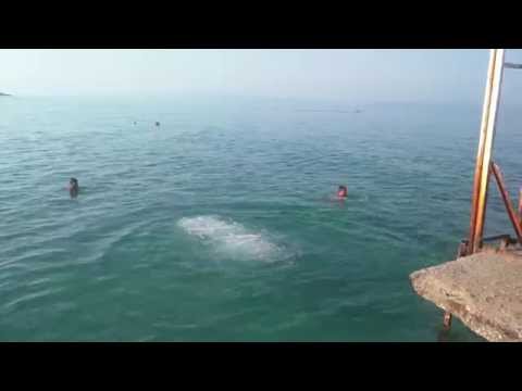 Diving @ Kalithea, Halkidiki, Greece (Aug 1, 2015) part 1
