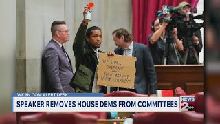 Speaker removes Tennessee House Democrats from committees