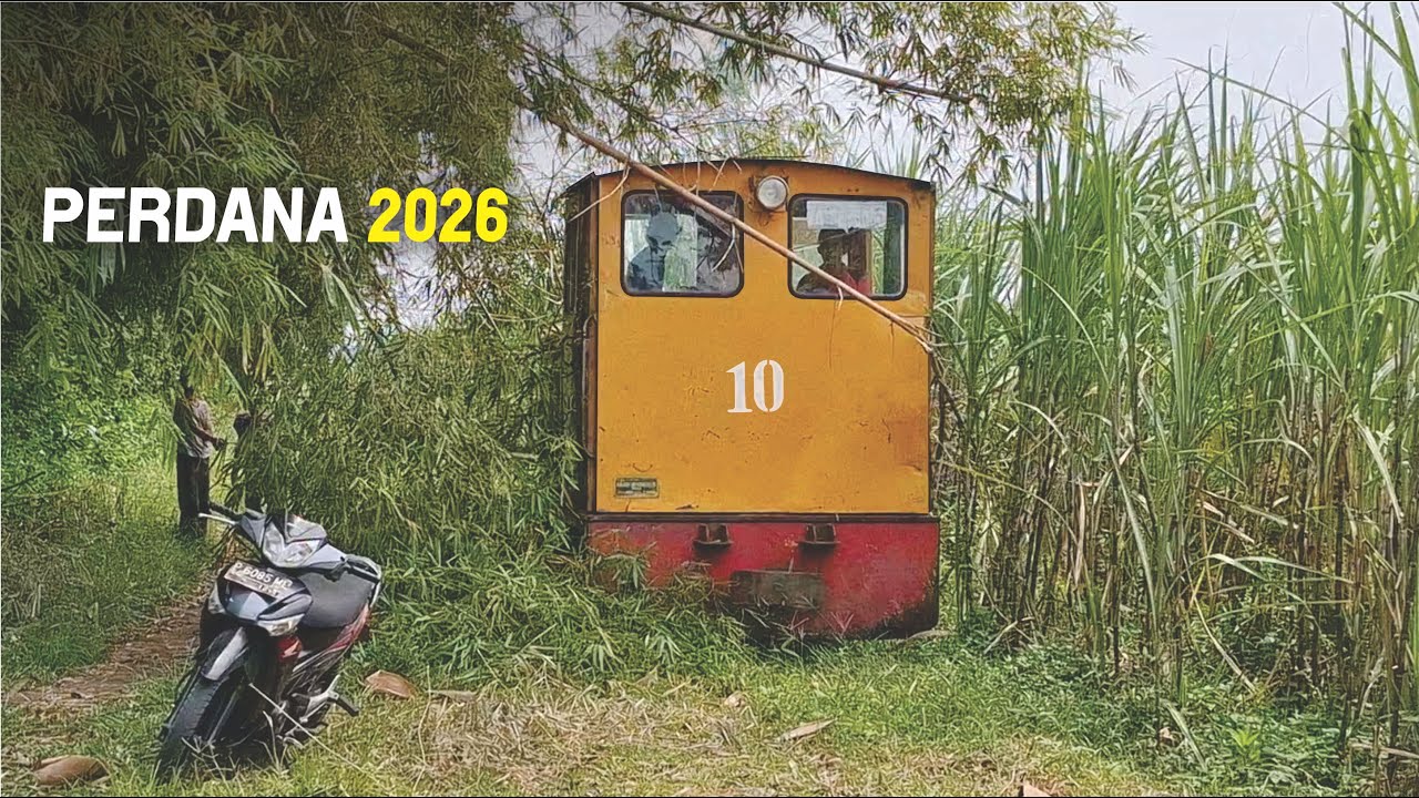 Локомотив заблокирован упавшими бамбуковыми шестами, что открывает доступ к сахарному заводу Семборо