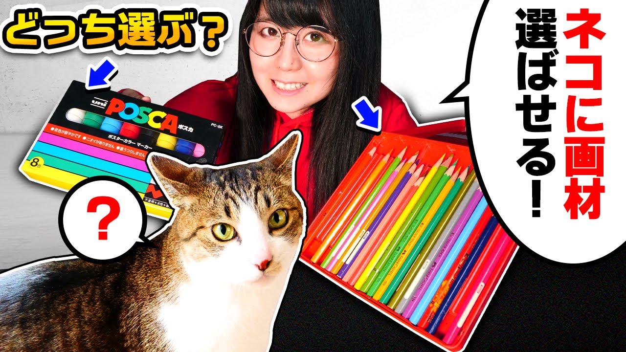 【放送事故】ペットの猫に「画材を選ばせて」お絵描きするチャレンジで大事故が発生しました…【※画材を選ぶとは限らない】