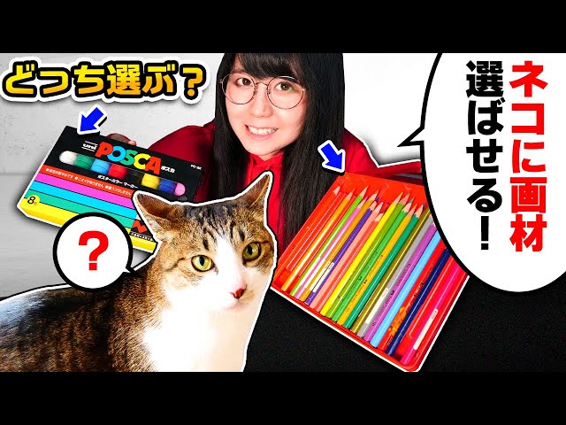 My Cat Chooses My Painting Materials !? The Work is Very Cute