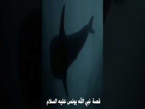 تلاوة خاشعة من القران الكريم بصوت عراقي حزين قصة سيدنا يونس عليه السلام