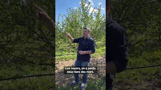Il y a 3 ans, la grêle a frappé Morges.
