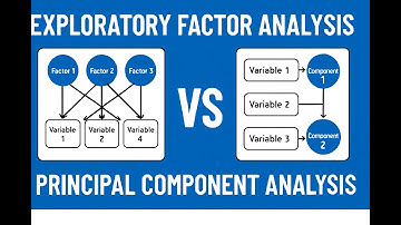 Exploratory Factor Analysis Versus Principal Component Analysis