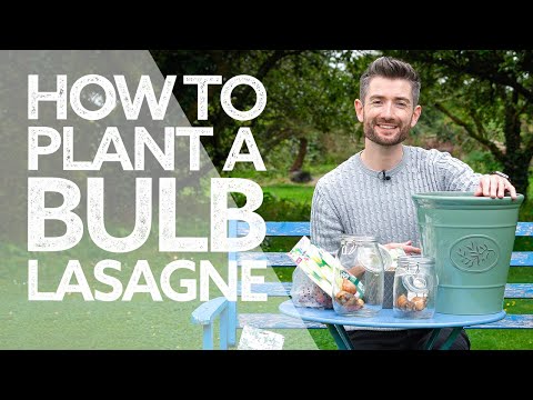 Video: Flower Bulb Lasagna Growing - Իմացեք լազանյա լամպ տնկելու տեխնիկայի մասին