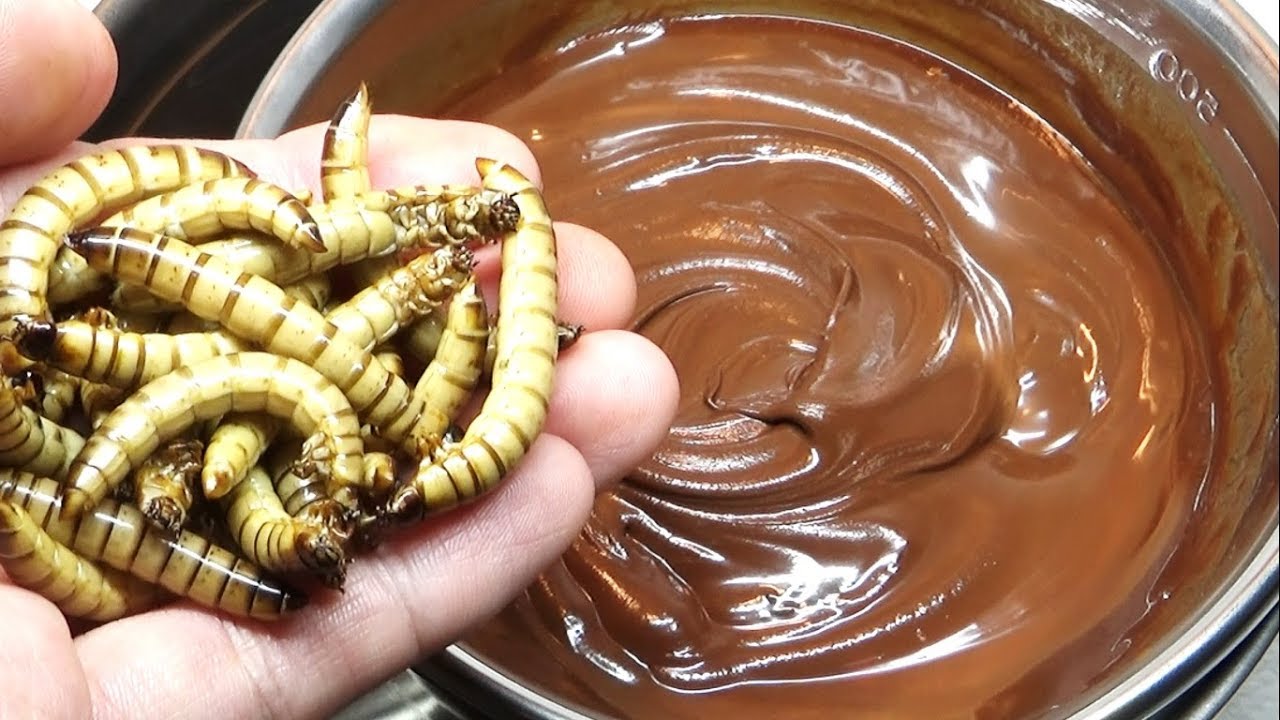 バレンタインなので溶けたチョコに大量のイモムシをぶち込んでみた Youtube