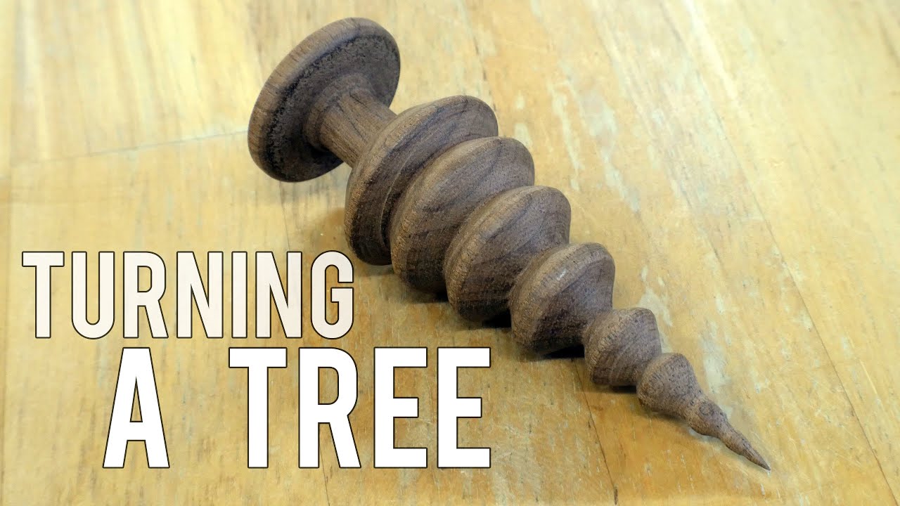 Turning a tree | Wood Turning - YouTube