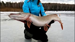 ТРОФЕЙНАЯ рыбалка не для СЛАБОНЕРВНЫХ! Без ТОПОРА не обошлось. ПЕРВЫЙ ЛЁД 2023 запомнится на долго!