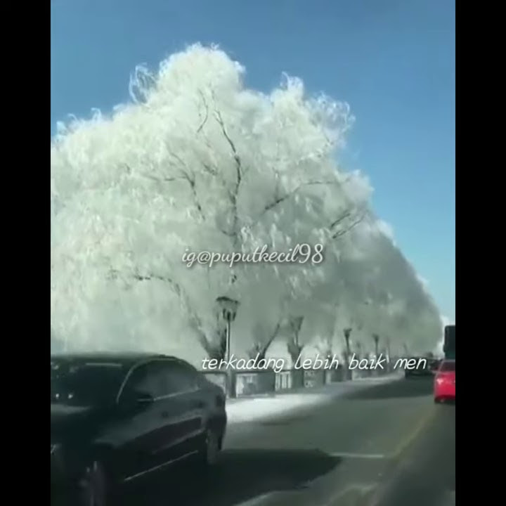 Status wa mbokyo tulung sadaro ojo sak penake dewe