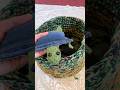 Pocket turtle bean bag paperweights