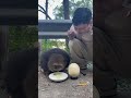 Star: This Is The Biggest Egg I've Ever Seen. #Emei Monkey - Star Monk With Only One Arm