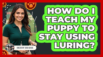 How Do I Teach My Puppy To Stay Using Luring? - Obedient Dog Guide