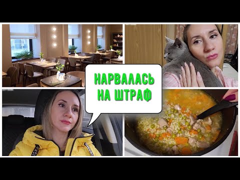 Видео: ЗЕМЛЯ МНОГОДЕТНЫМ/ НАРВАЛАСЬ  НА ШТРАФ/ ДЕЛА ДОМАШНИЕ...