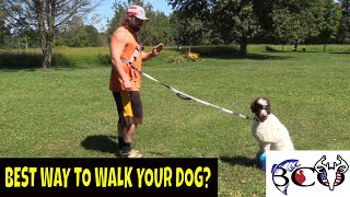 Best leash for you dog? | lifehandle hands free dog leash system review  | bco review |