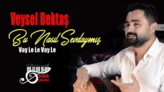 Veysel Bektaş - Bu Nasıl Sevdaymış Vay Le Le (Damar Şarkılar)