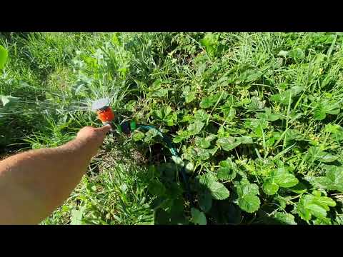 Дождеватель для полива круговой Gardena Vario 530м.кв. Дождеватель для полива круговой Gardena Vario 530м.кв.