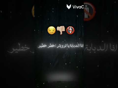 في الدقر طاق طاق طاق ترند تيك اهميه اسلام شلتنا اعتني اكلتك تضامنا ولده فروعنا