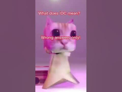 What does IDC mean? - YouTube